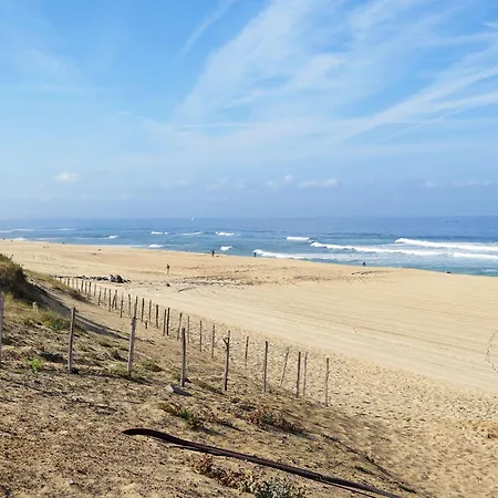 Pyrenees By Interhome Lägenhet